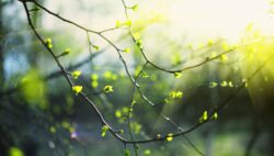 AdobeStock_393750806